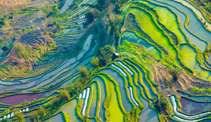 宝妈必备神器：苏家屯区产品视频拍摄轻松育儿好帮手