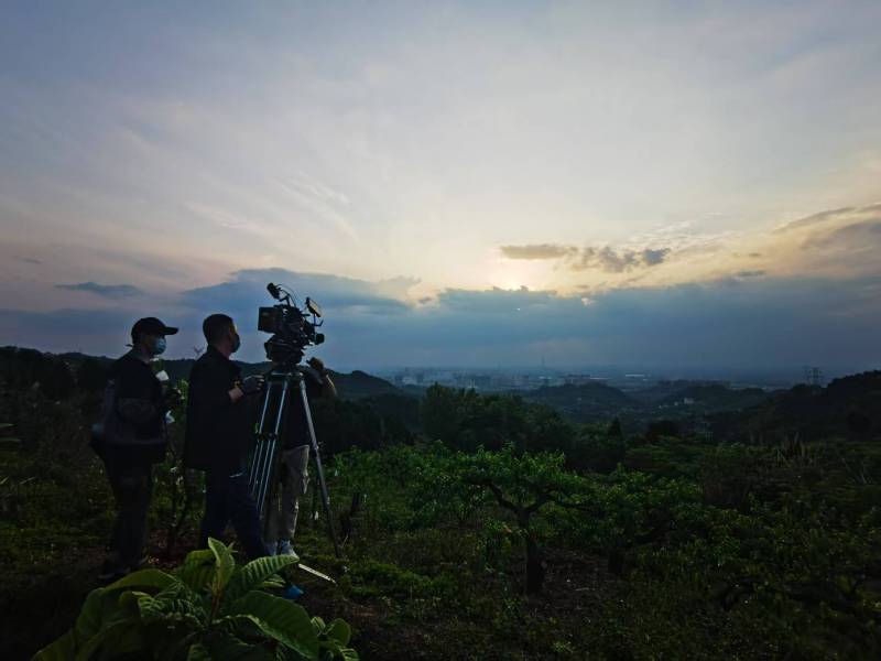 聚焦苏家屯区产品宣传视频拍摄公司，用专业实力铸就品牌传播传奇