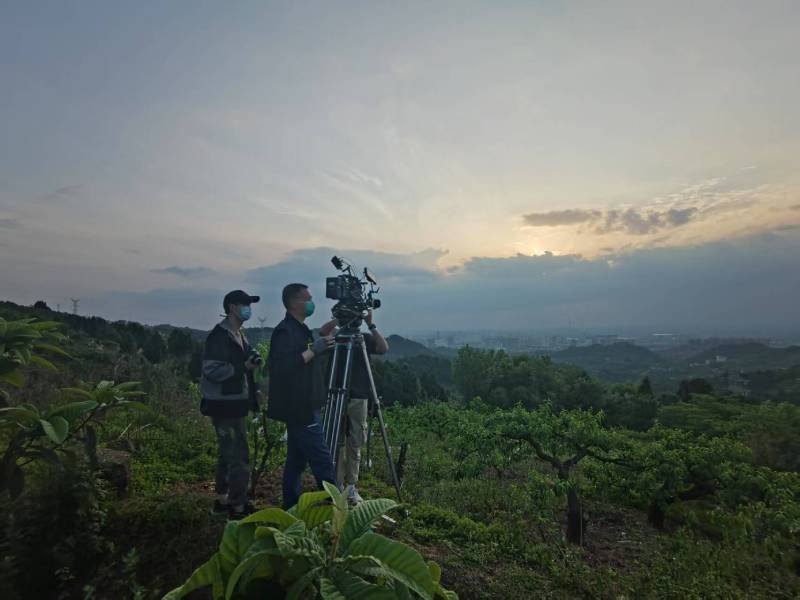 创意破圈！苏家屯区电商产品宣传视频用故事化叙事引爆流量