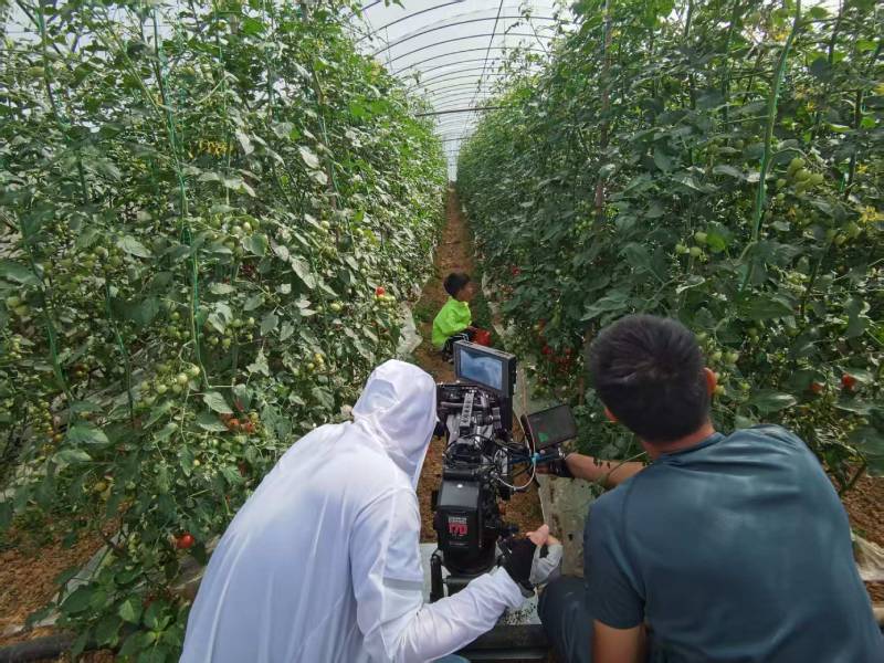 苏家屯区产品宣传视频拍摄公司进阶指南，助力品牌抢占传播高地